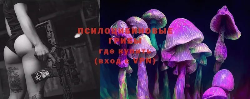 мега онион  где продают наркотики  Саяногорск  Галлюциногенные грибы Magic Shrooms 